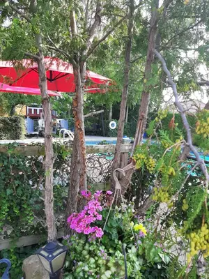 a garden with pink flowers and a red umbrella at Blue Moon Motel in Niagara Falls