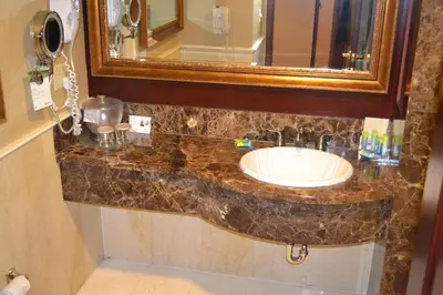 a bathroom with a sink and a mirror at Radisson Hotel Toronto Airport West in Mississauga