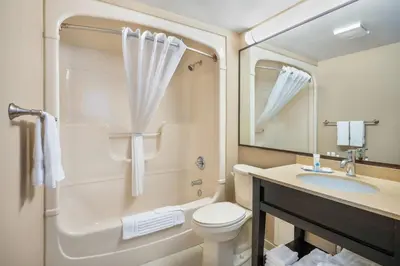 a bathroom with a toilet and a sink and a shower at Comfort Inn in Guelph