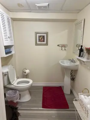 a bathroom with a toilet and a sink at Blue Gables Bed and Breakfast in Niagara Falls