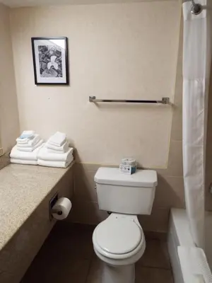 a bathroom with a white toilet and a shower at Quality Inn in Owen Sound