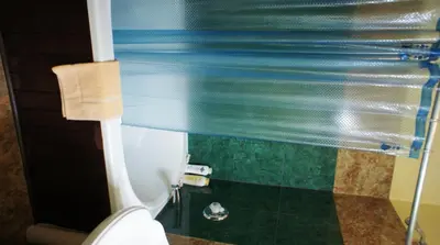 a bathroom with a toilet and a blue shower curtain at A Night to Remember B & B in Niagara Falls