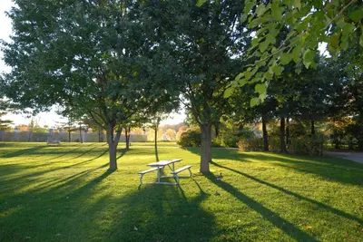 a picnic table in the middle of a park with trees at Kings Inn Orillia in Orillia