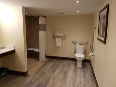 a bathroom with a toilet and a sink at Best Western Plus Durham Hotel & Conference Centre in Oshawa