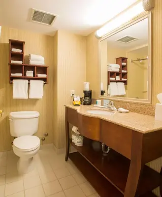 a bathroom with a toilet and a sink and a mirror at Hampton Inn Toronto-Mississauga West in Mississauga