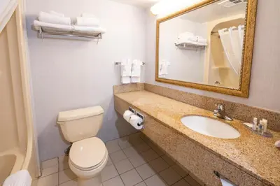 a bathroom with a toilet and a sink and a mirror at Comfort Hotel & Suites in Peterborough