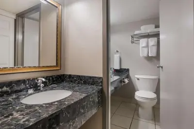 a bathroom with a sink and a toilet at Best Western St Catharines Hotel & Conference Centre in St. Catharines
