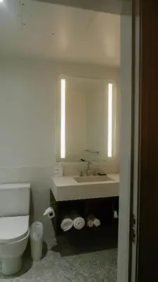 a bathroom with a sink and a toilet and a mirror at The Walper Hotel, part of JdV by Hyatt in Kitchener