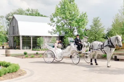 a bride and groom in a horse drawn carriage at Pillar and Post Inn & Spa in Niagara on the Lake