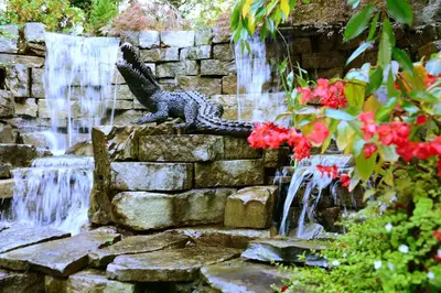 a lizard statue sitting on a stone wall next to a waterfall at Queens Landing in Niagara on the Lake