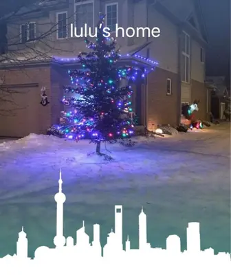 a christmas tree in the yard of a house at Sweet dreams in Guelph