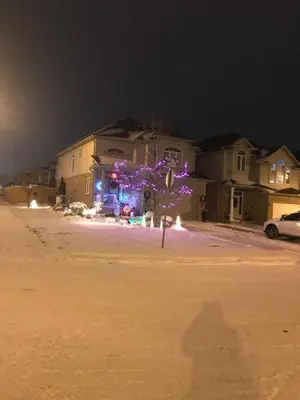a house with a tree with purple lights on it at Sweet dreams in Guelph
