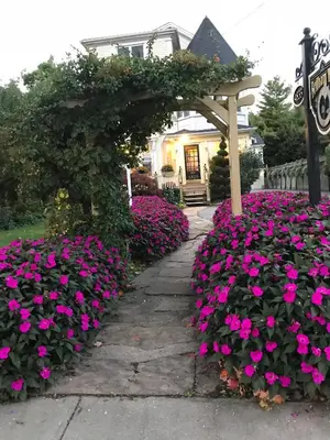 a garden with pink flowers in front of a house at Bedham Hall B&B in Niagara Falls
