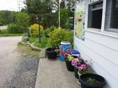 a group of potted plants on the side of a house at Cedar Lane Motel in Bracebridge