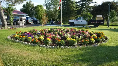 a circular garden of flowers in a park at Blue Jay Motel in Peterborough