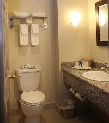 a bathroom with a toilet and a sink at Montecassino Hotel & Event Centre in Toronto