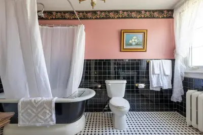 a bathroom with a toilet and a bath tub at Chestnut Inn in Niagara Falls