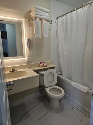 a bathroom with a toilet and a sink and a shower at Leelas Villa Inn Flesherton in Flesherton