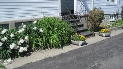a bunch of flowers on the side of a house at Rosecourt Motel in Stratford