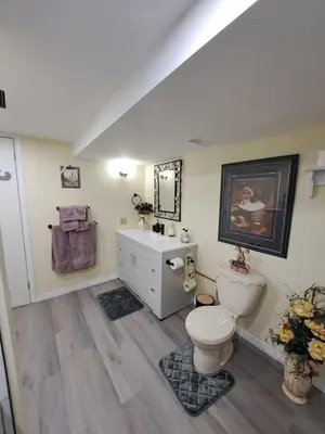 a bathroom with a toilet and a sink at Carrousel Bed & Breakfast in Cayuga