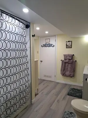 a bathroom with a toilet and a door at Carrousel Bed & Breakfast in Cayuga