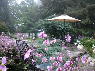 a garden with pink flowers and an umbrella at Historic Lyons House in Niagara on the Lake