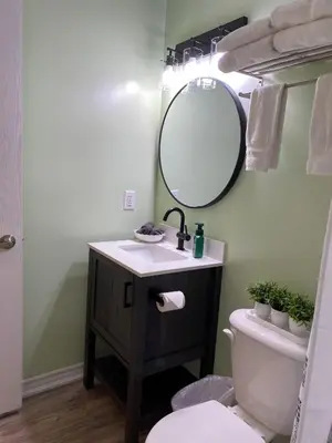 a bathroom with a sink and a mirror and a toilet at Blue Mountain 2 Story Studio Loft in Blue Mountains