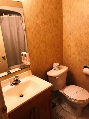 a bathroom with a sink and a toilet and a mirror at Country Inn Listowel in Listowel