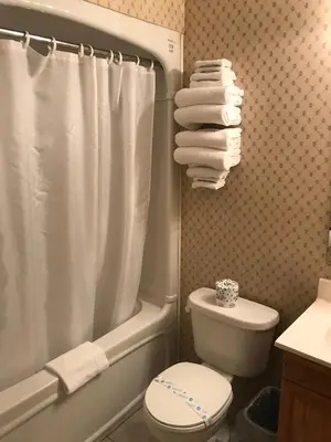 a bathroom with a white shower curtain and a toilet at Country Inn Listowel in Listowel