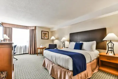 a hotel room with a bed and a large window at Best Western Plus Cambridge Hotel in Cambridge