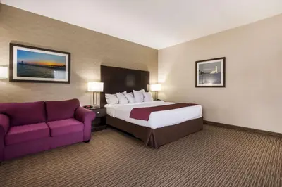 a hotel room with a bed and a purple couch at Best Western Little River Inn in Simcoe