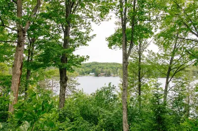 a view of a lake through the trees at Heather Lodge in Minden