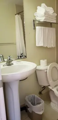 a bathroom with a sink and a toilet and a mirror at Niagara Inn in Niagara Falls