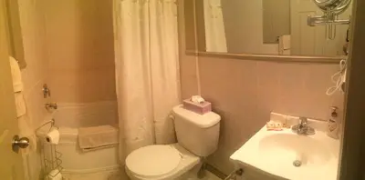 a bathroom with a white toilet and a sink at Dominion Hotel in Minden