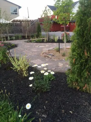 a garden with white flowers in a yard at Dominion Hotel in Minden