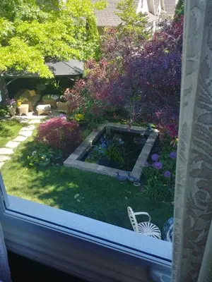 a view of a garden from the window of a house at TwiningRetreat in Niagara on the Lake