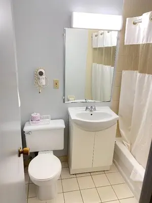 a bathroom with a toilet and a sink and a mirror at Liberty Inn in Bowmanville
