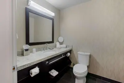 a bathroom with a toilet and a sink and a mirror at C Hotel by Carmen's, BW Premier Collection in Hamilton
