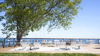 a table and chairs under a tree near the water at The Lakeside Prince Edward County in Wellington