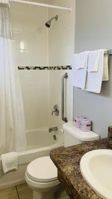 a bathroom with a toilet and a tub and a sink at Falls Lodge by the Falls (Formerly Knights Inn) in Niagara Falls