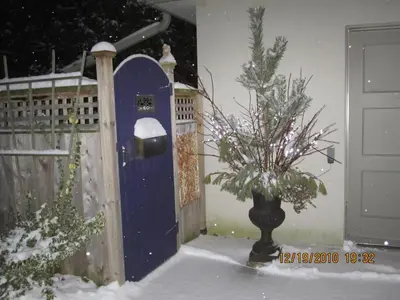 a vase with a christmas tree in front of a door at Willowmere in Cobourg