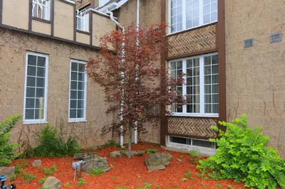 a tree in front of a building at Fullerton Manor Inn in Niagara Falls