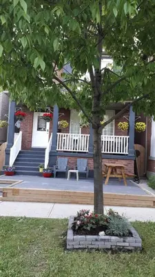a tree in front of a house with a bench at Village at York U in Toronto