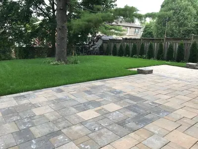 a stone patio with a tree in a yard at Hillcrest Modern House in Toronto