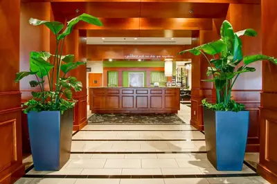a lobby with two large plants in large vases at Hilton Garden Inn Toronto/Markham in Thornhill