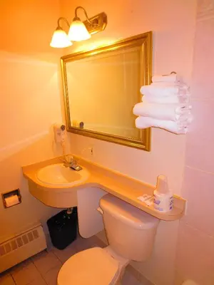 a bathroom with a sink and a toilet and a mirror at Canadiana Motel in Hanover