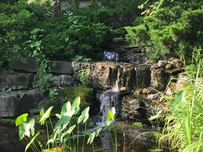 a waterfall in a garden with green plants at Hammer Haus in Waterloo