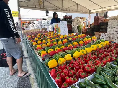a person standing in a farmers market with fruits and vegetables at Hammer Haus in Waterloo