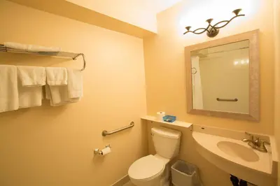 a bathroom with a toilet and a sink and a mirror at The Village Inn in Elora