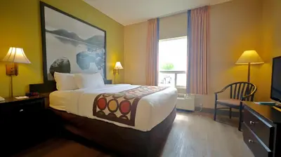 Gallery image of Super 8 by Wyndham Midland in Midland